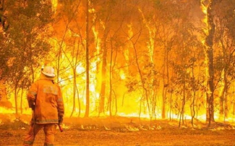 Australian Bushfire Volunteer - a Story from Röhlig Sydney
